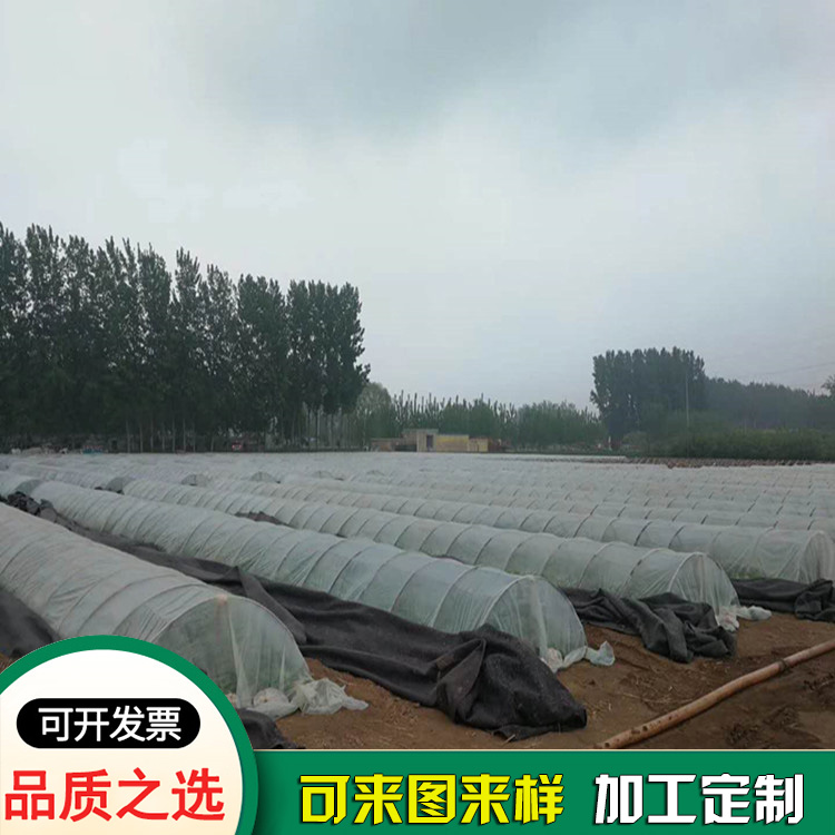 LDPE塑料膜共擠塑料薄膜 LDPE塑料膜共擠塑料薄膜